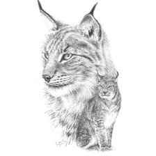 Схема вышивки «Рысь. Набросок»