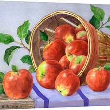 Схема вышивки «№2397950»