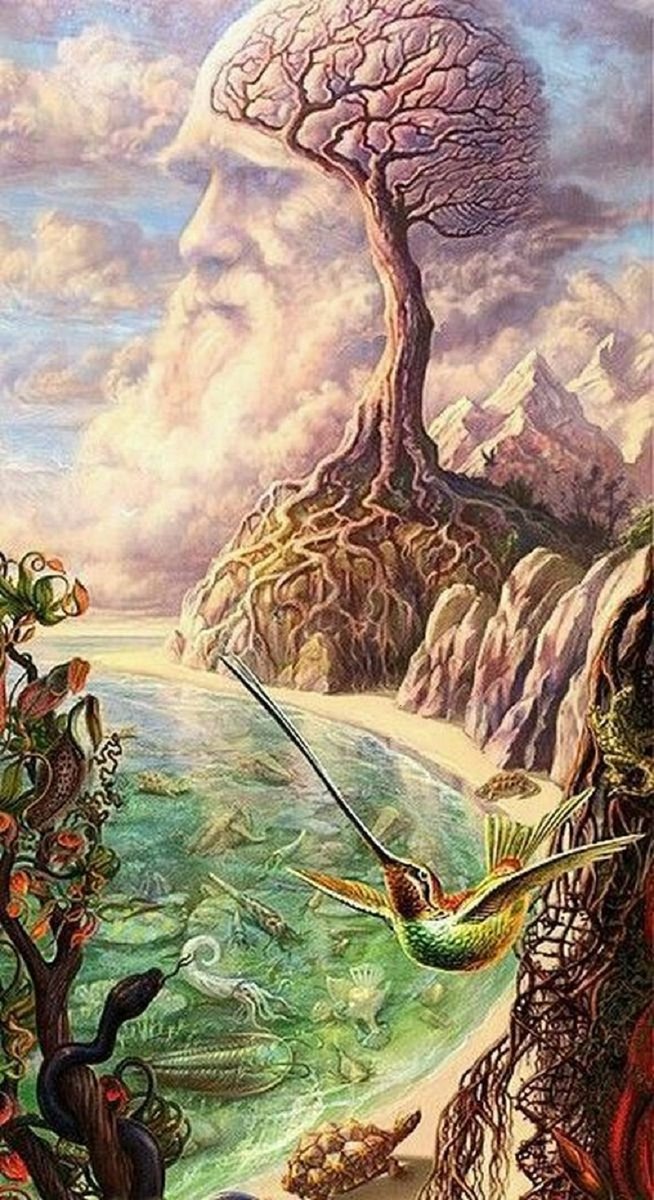 сюр - сюр - оригинал