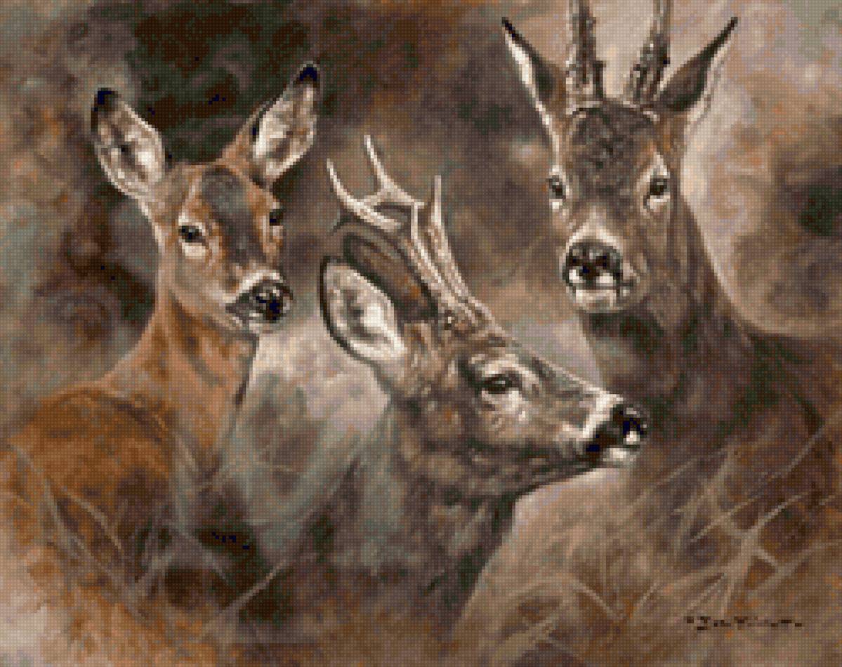 Ciervos - animal - предпросмотр