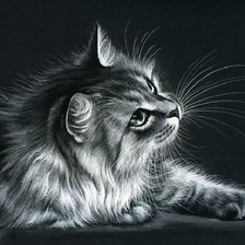 Оригинал схемы вышивки «Серая кошка» (№2398653)
