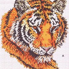 Схема вышивки «Тигр»
