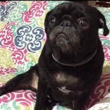 Схема вышивки «Personal»