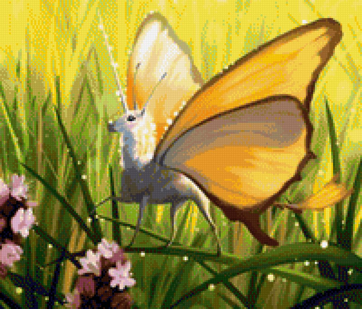 Лошадь-бабочка - лошади, миф - предпросмотр