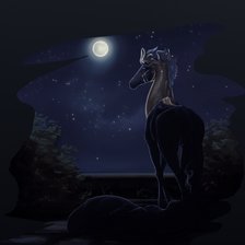 Схема вышивки «Полноч луна»