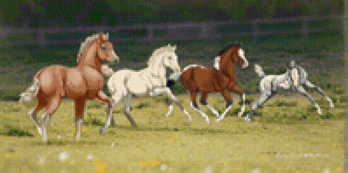 Жеребята - лошади, миф - предпросмотр