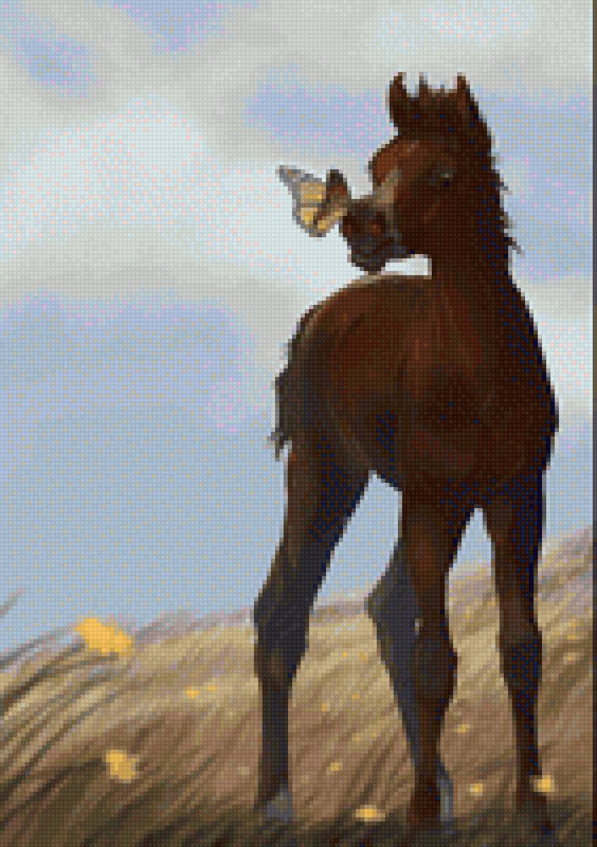 Жеребенок - миф, лошади - предпросмотр