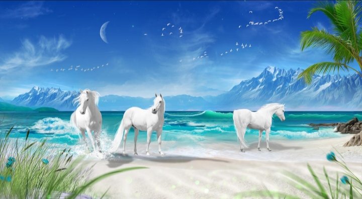 У моря - миф, лошади - оригинал
