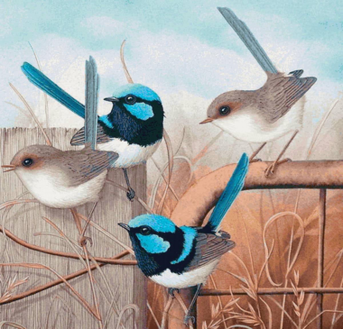 Pássaros. - pássaros. - предпросмотр