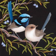 Схема вышивки «Pássaros.»