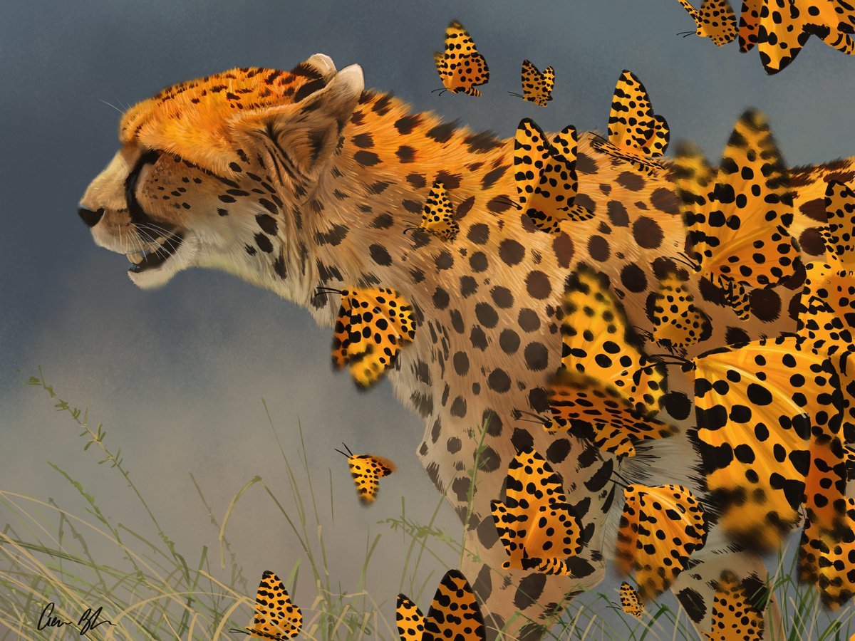 №2400441 - оригинал