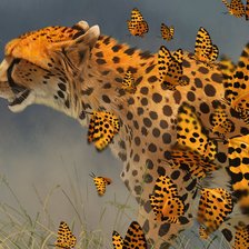 Схема вышивки «№2400441»