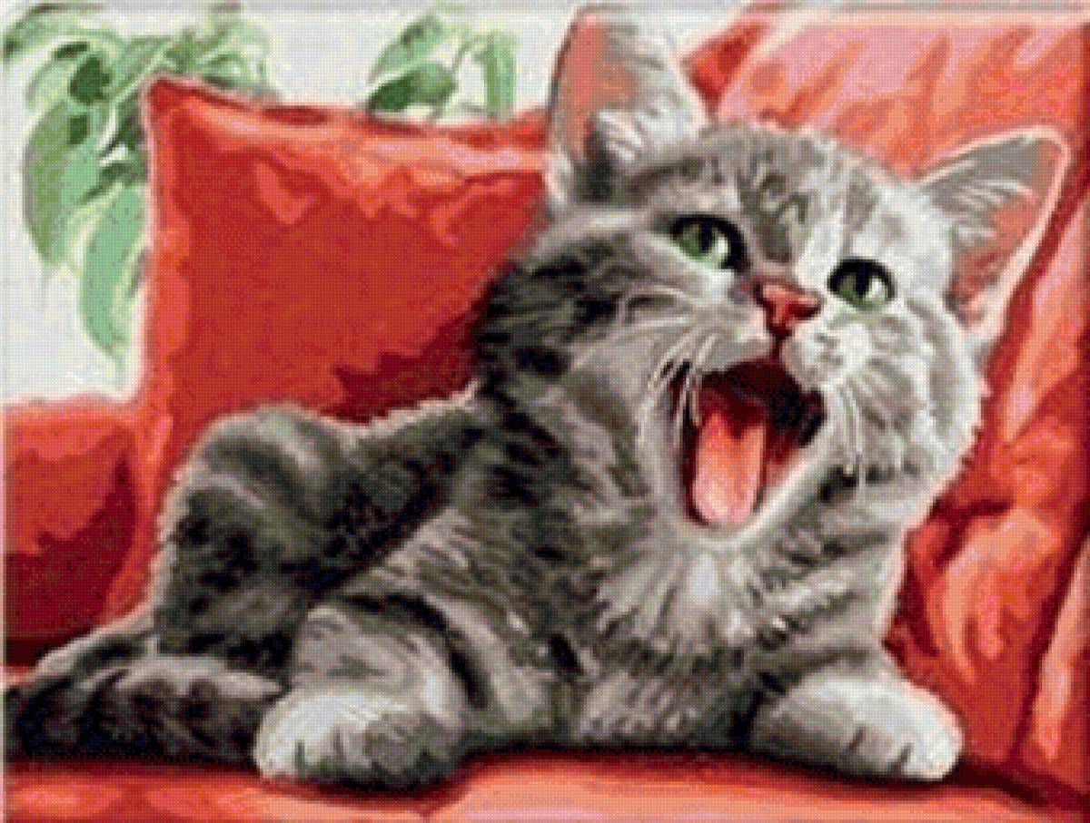 Прелестный котенок - кот, животные, котенок - предпросмотр