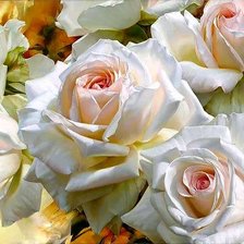 Оригинал схемы вышивки «Белые розы» (№2400715)