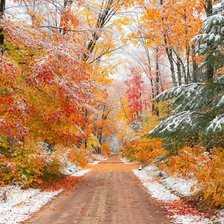 Схема вышивки «Paisagens de inverno.»