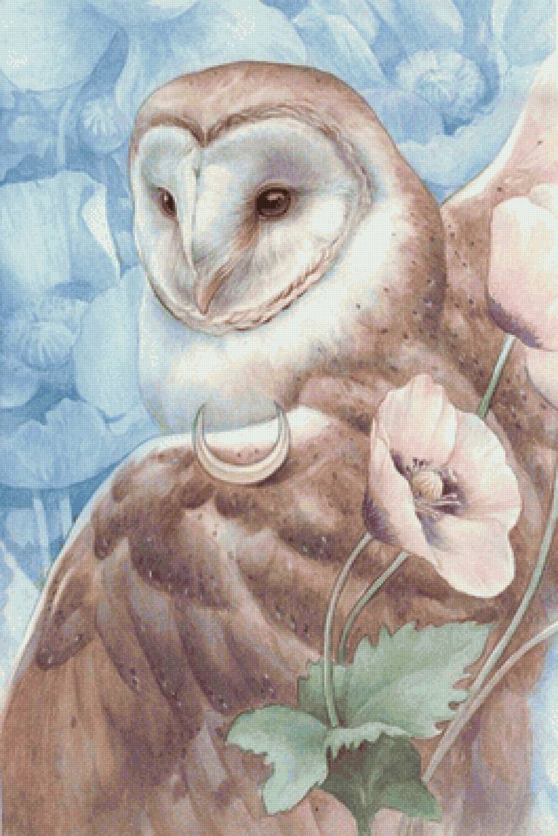 сова - мак - предпросмотр