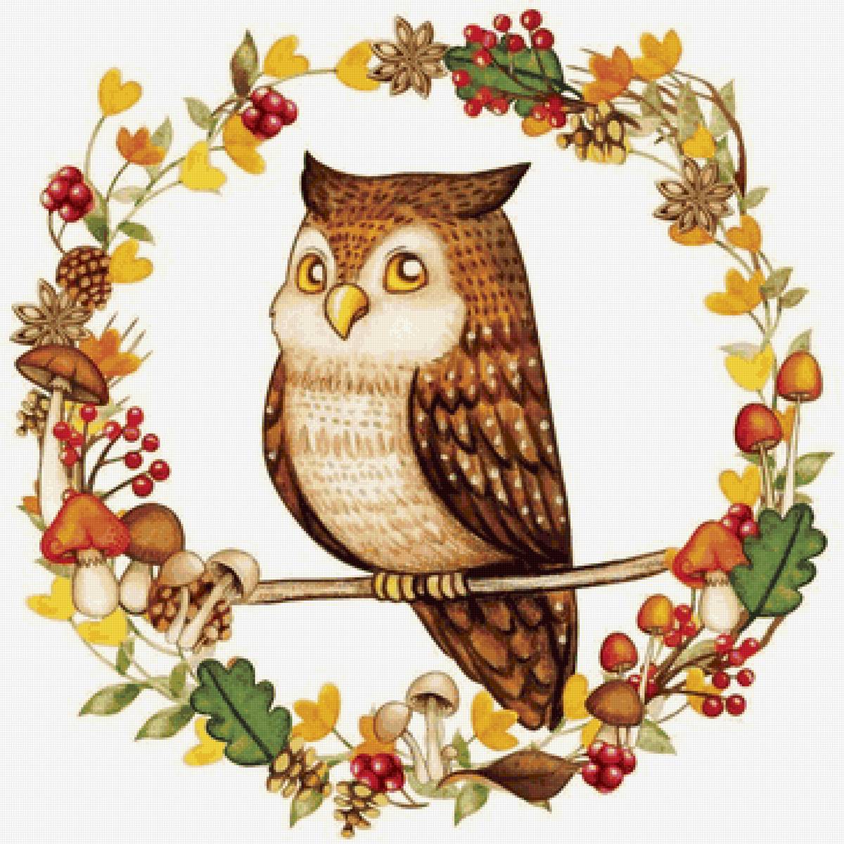 Рисунок - сова - предпросмотр
