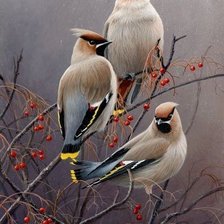 Схема вышивки «Свиристели»