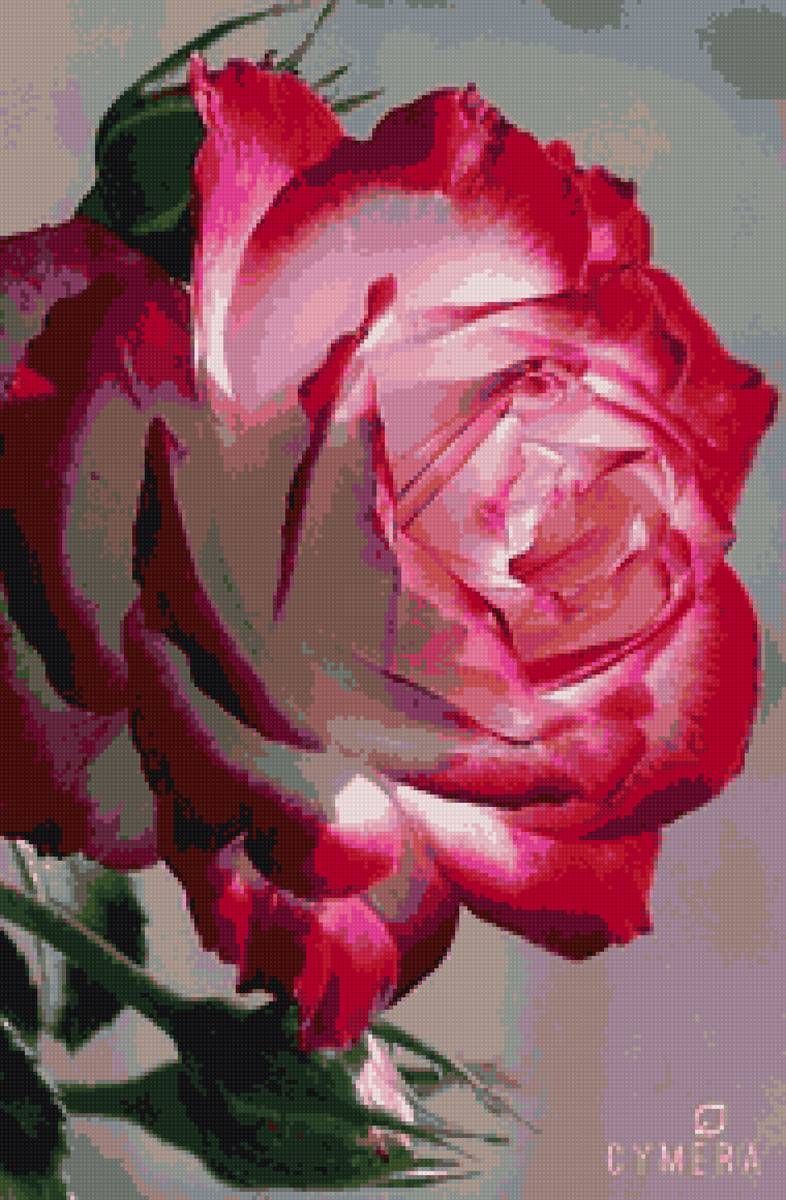 №2401643 - предпросмотр