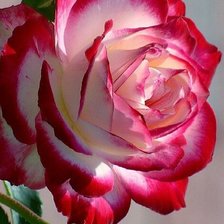 Схема вышивки «№2401643»