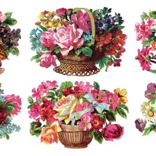 Схема вышивки «№2401699»