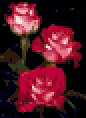 Розы - розы - предпросмотр