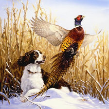 Схема вышивки «de caza»