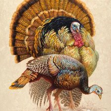 Схема вышивки «chonpipes»