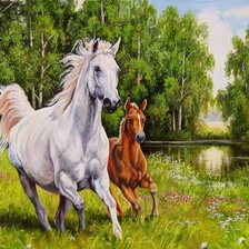 Схема вышивки «corre»