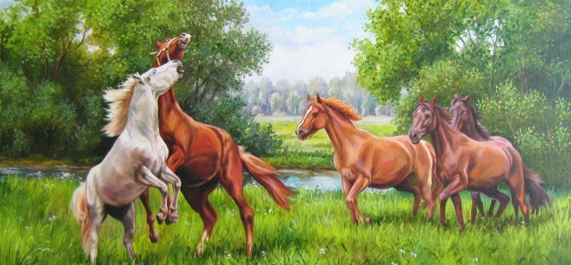 competencia - caballoz - оригинал