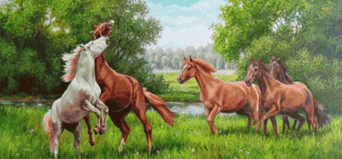 competencia - caballoz - предпросмотр