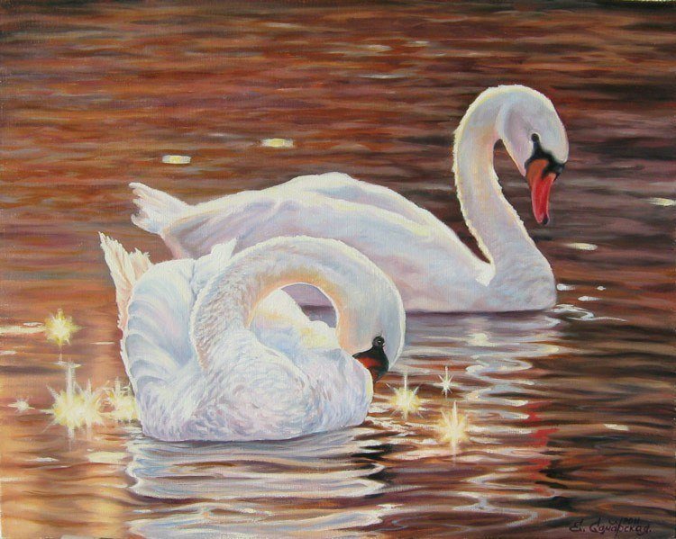 cisnes fds - paisaje - оригинал