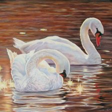 Схема вышивки «cisnes fds»