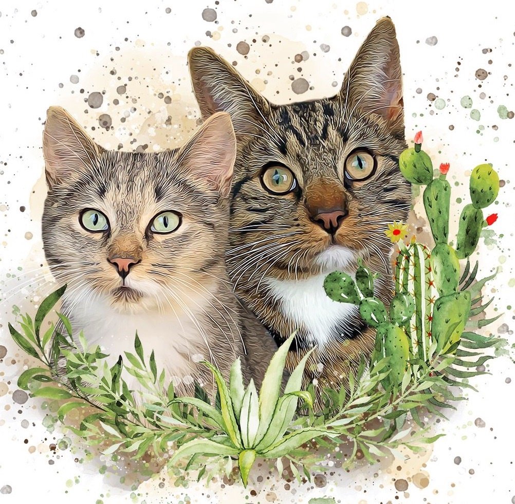 Gatos. - animais .pintura. - оригинал