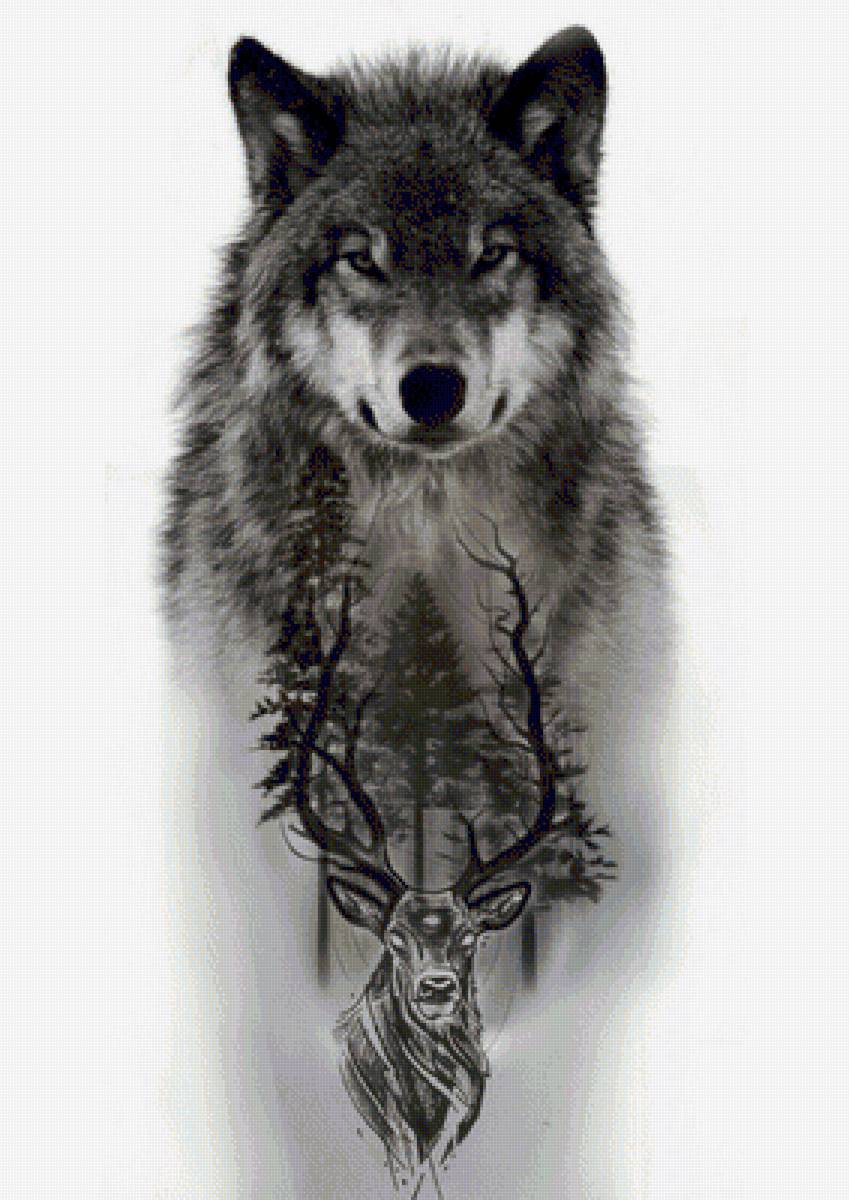 Волк - volf - предпросмотр