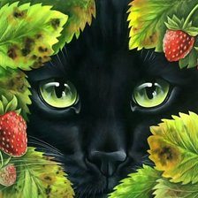 Схема вышивки «№2402534»