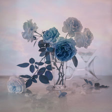 Схема вышивки «Розы»