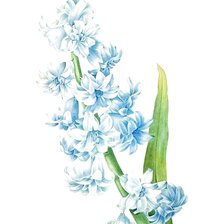 Схема вышивки «Цветок»