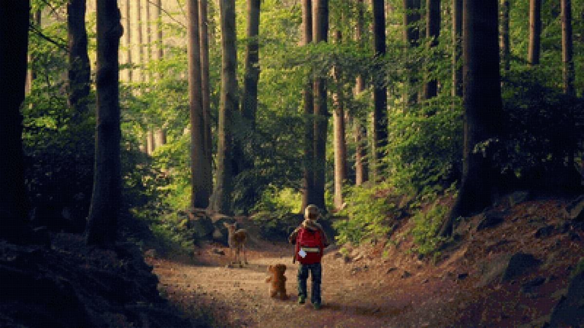 №2403153 - предпросмотр