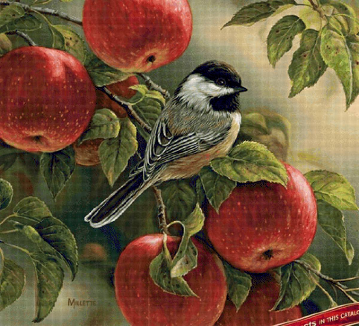 229 - ale - предпросмотр