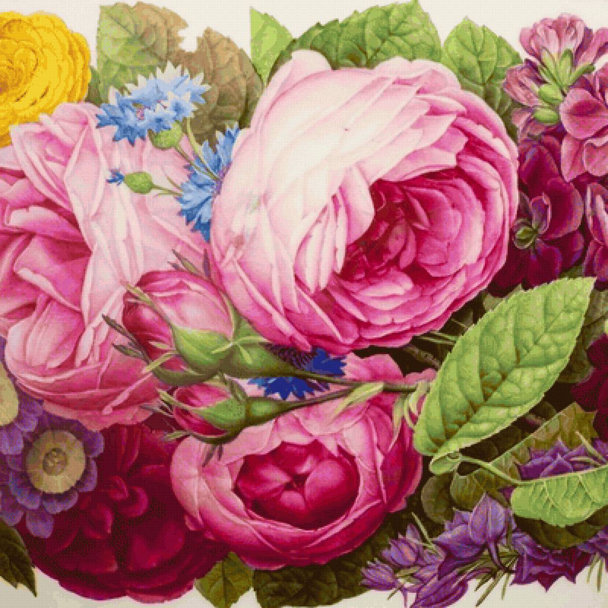 234 - ale - предпросмотр