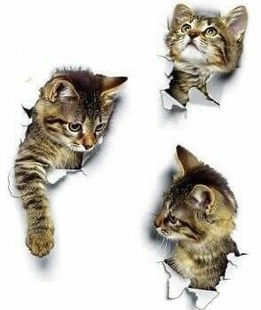 Котейка - оригинал