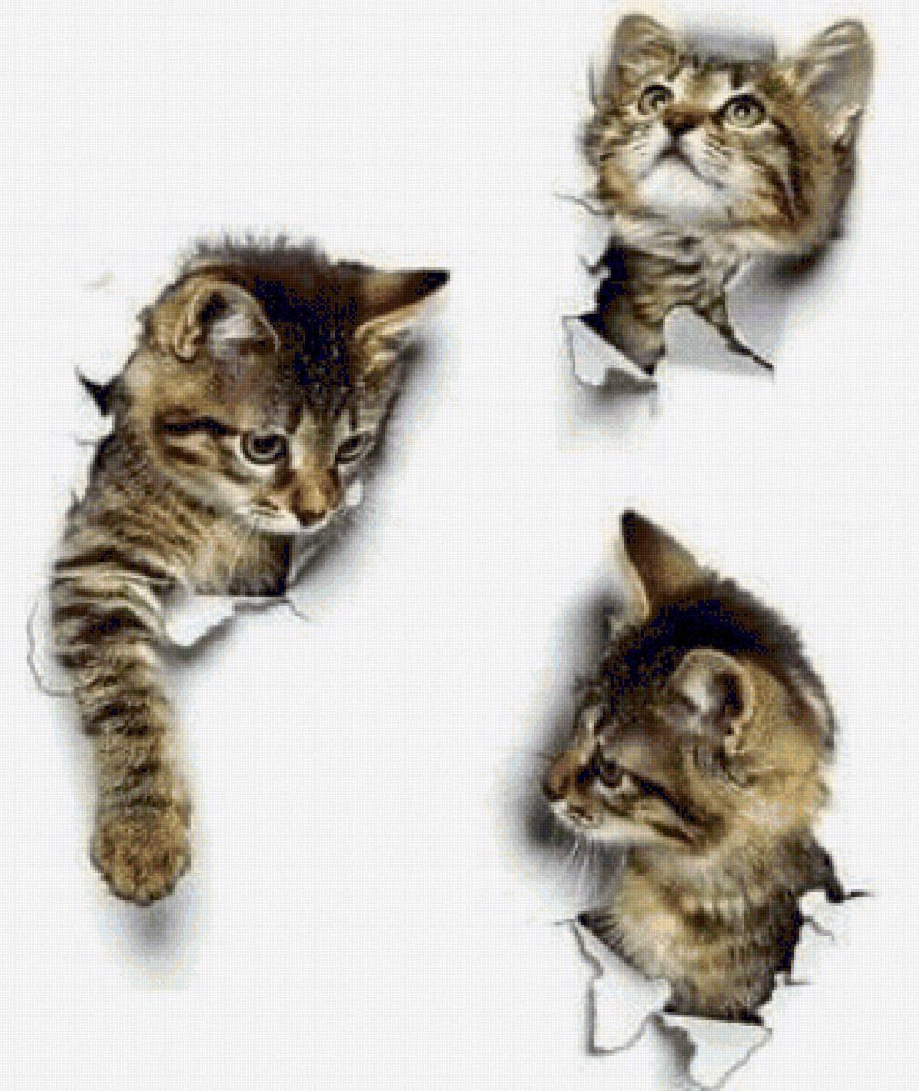 Котейка - предпросмотр