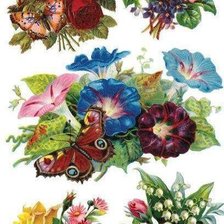 Схема вышивки «№2403542»