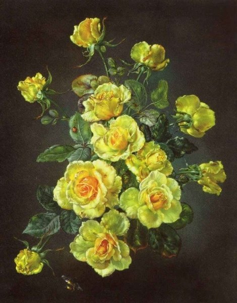 Роза йеллоу фейри - розы, картина, цветы - оригинал