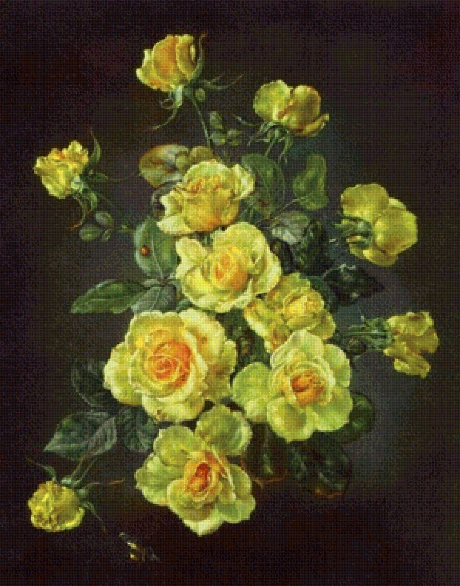 Роза йеллоу фейри - картина, розы, цветы - предпросмотр