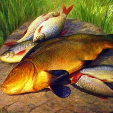 Схема вышивки «№2404867»