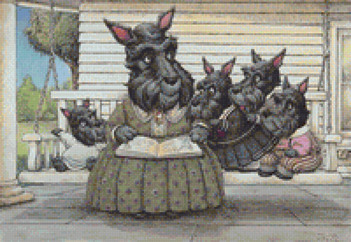 мамочка терьер - собака, скотч терьер, мамочка, терьер, щенки, детки, собаки - предпросмотр