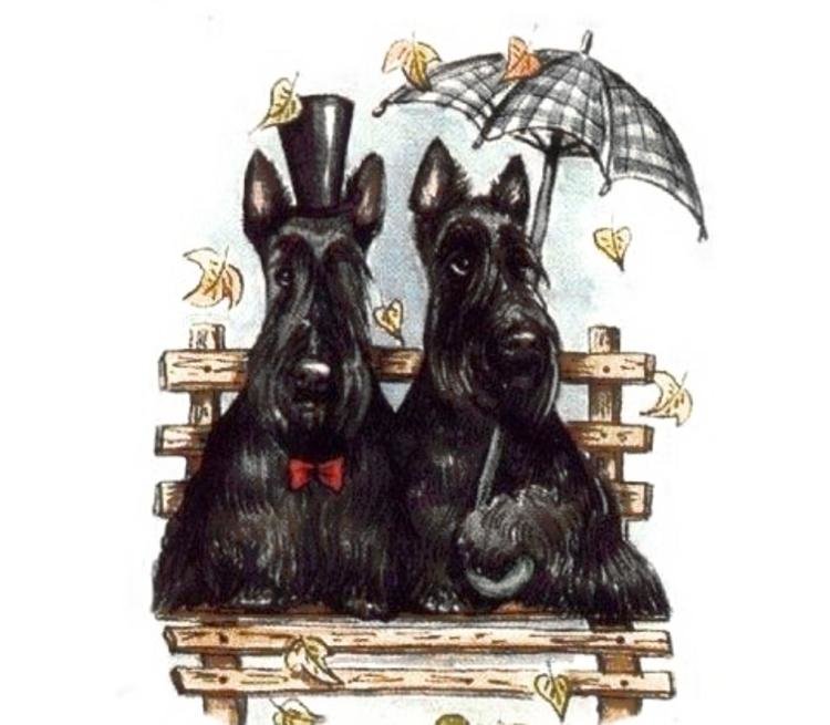 любовь - скотч терьер, собаки, мамочка, собака, щенки, терьер, детки - оригинал