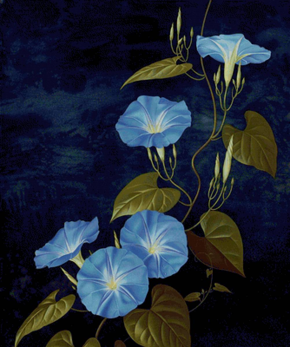 цветы - пейзажи - предпросмотр